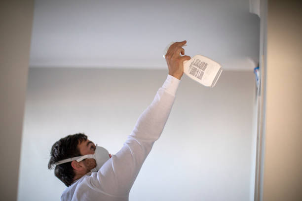 Best Mold Testing  in West Springfield, VA