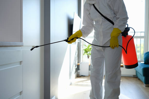 Best Attic Mold Removal  in West Springfield, VA
