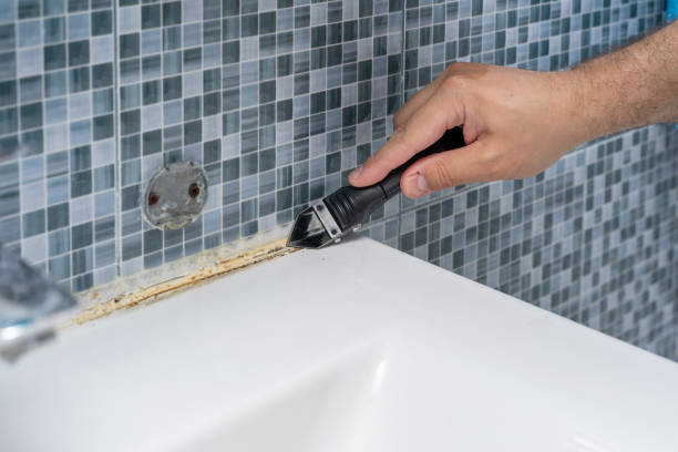 Best Best Mold Removal Companies  in West Springfield, VA